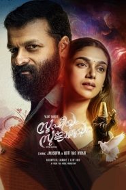 Sufiyum Sujatayum (2020) Dual Audio [Hindi ORG & Malayalam] WEB-DL 480p, 720p & 1080p | GDrive