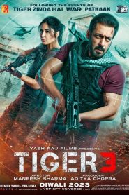 Tiger 3 (2023) Hindi WEB-DL 480p, 720p, 1080p & 4K UHD 2160p | GDRive