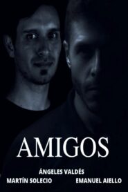 Amigos (2023) Dual Audio [Hindi ORG & Telugu] WEB-DL 480p, 720p & 1080p | GDRive