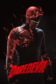 Marvels Daredevil : [2015-2018] Season 1-3 Dual Audio [Hindi ORG & ENG] NF WEB-DL 720p & 1080p HEVC | [Complete]