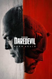 Daredevil: Born Again [2025] : Season 1 Dual Audio [Hindi ORG & ENG] WEB-DL 720p, 1080p & 4K UHD 2160p | [Epi 1-9 All Added – Complete Zip Batch]