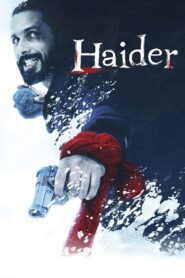 Haider (2014) Hindi BluRay 480P & 720P GDrive