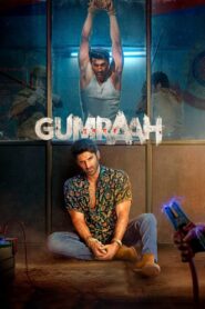 Gumraah (2023) Hindi WEB-DL 480p, 720p & 1080p | GDRive