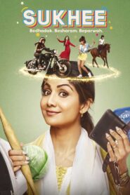 Sukhee (2023) Hindi WEB-DL 480p, 720p & 1080p | GDRive