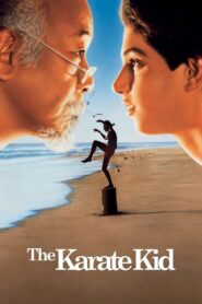 The Karate Kid (1984) Dual Audio [Hindi ORG & ENG] BluRay 720p & 1080p HEVC