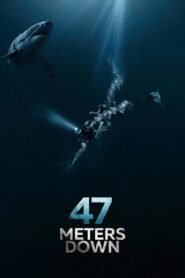 47 Meters Down (2017) BluRay Dual Audio [Hindi – English] 480p & 720p GDrive