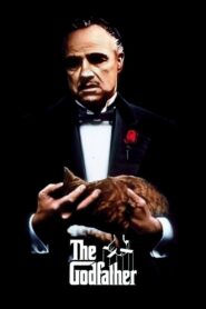 The Godfather (1972) Dual Audio [Hindi ORG & ENG] BluRay 480p, 720p & 1080p | GDrive