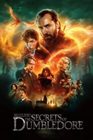 Fantastic Beasts: The Secrets of Dumbledore (2022) Dual Audio [Hindi ORG & ENG] WEB-DL 480p, 720p & 1080p | GDRive