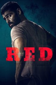Red (2021) Dual Audio [Hindi ORG & Telugu] WEB-DL 200MB – 480p, 720p & 1080p | GDRive | BSub