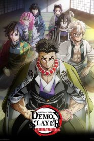 Demon Slayer S04 Kimetsu no Yaiba -Hashira Training Arc : Season 4 Dual Audio [Hindi ORG & Japanese] WEB-DL 720p & 1080p HEVC | [Japanese & Hindi ORG Epi 1-8 COMBINED]