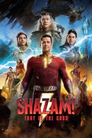 Shazam! Fury of the Gods (2023) Dual Audio [Hindi ORG & ENG] WEB-DL 480p, 720p, 1080p & 4K UHD 2160p | GDRive | BSub