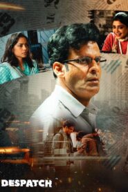 Despatch (2024) Hindi WEB-DL 480p, 720p & 1080p | GDRive