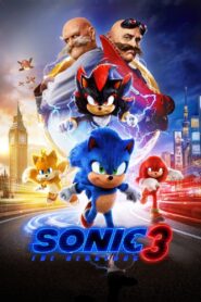 Sonic The Hedgehog 3 (2024) Dual Audio [Hindi ORG & ENG] ORG WEB-DL 480p, 720p, 1080p & 4K UHD 2160p | GDRive