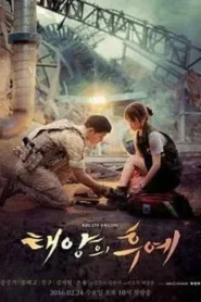 Descendants of the Sun : Season 1 Hindi Dubbed WEB-DL & Korean BluRay 480p & 720p | [Complete]