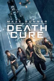Maze Runner: The Death Cure (2018) Dual Audio [Hindi ORG & ENG] BluRay 480p, 720p & 1080p | GDRive