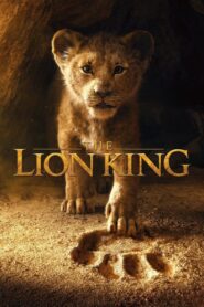 The Lion King (2019) Dual Audio [Hindi ORG & ENG] BluRay 480p, 720p & 1080p | GDrive