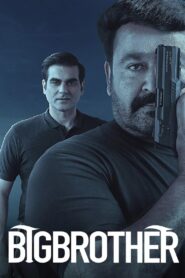Big Brother (2020) Dual Audio [Hindi & Malayalam] WEB-DL 480p, 720p & 1080p | GDrive