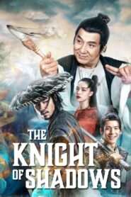 The Knight of Shadows: Between Yin and Yang (2019) Dual Audio [Hindi ORG & Chinese] BluRay 480p, 720p & 1080p GDrive
