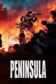 Train to Busan : Peninsula (2020) Dual Audio [Hindi ORG, Korean & ENG] BluRay – 480p, 720p & 1080p | GDRive