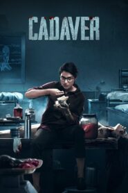 Cadaver (2022) Dual Audio [Hindi ORG & Tamil] WEB-DL 480p, 720p & 1080p | GDRive