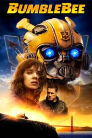 6. Bumblebee (2018) Dual Audio [Hindi & ENG] BluRay 480p, 720p & 1080p | GDRive
