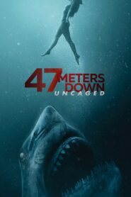 47 Meters Down: Uncaged (2019) Dual Audio [Hindi DD5.1 – English] BluRay HEVC 480P 720P GDrive