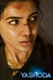 Yashoda (2022) Dual Audio [Hindi ORG & Telugu] WEB-DL 480p, 720p & 1080p | GDRive