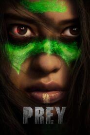 Prey (2022) Dual Audio [Hindi ORG & ENG] WEB-DL 480p, 720p & 1080p | GDRive | BSub ji