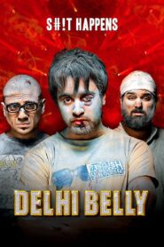 Delhi Belly (2011) Hindi BluRay 480p & 720p
