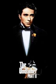 The Godfather: Part II (1974) Dual Audio [Hindi ORG & ENG] BluRay 480p, 720p & 1080p | GDrive