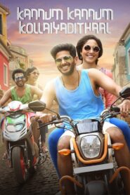 Kannum Kannum Kollaiyadithaal (2020) Dual Audio [Hindi ORG & Tamil] WEB-DL 480p, 720p & 1080p | GDRive