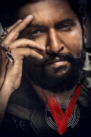 V Movie (2020) [Hindi ORG & Telugu] WEB-DL HEVC 480p, 720p & 1080p | GDRive [V 2020] | BSub