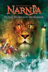 The Chronicles of Narnia: The Lion, the Witch and the Wardrobe (2005) Dual Audio [Hindi-ENG] BluRay 480p & 720p Gdrive