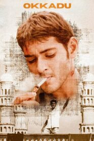 Aaj Ka Sharifzada Okkadu 2003 HDRip x264 Hindi Dubbed