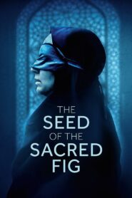 The Seed of the Sacred Fig (2024) Dual Audio [Hindi ORG & Persian] WEB-DL 480p, 720p & 1080p | GDRive