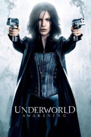 4.Underworld: Awakening (2012) Dual Audio [Hindi ORG & ENG] BluRay 480p, 720p & 1080p | GDRive