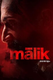 Malik (2021) Malayalam WEB-DL 200MB – 480p, 720p & 1080p | BSub