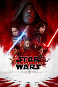 Star Wars: Episode VIII – The Last Jedi (2017) Dual Audio [Hindi ORG & ENG] BluRay 480p, 720p & 1080p | GDRive | BSub