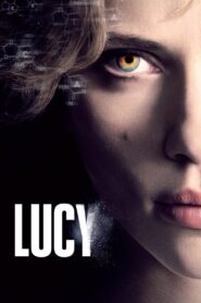 Lucy (2014) Dual Audio [Hindi ORG & ENG] BluRay 480p, 720p & 1080p | GDrive