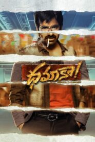 Dhamaka (2022) [Hindi ORG & Telugu] WEB-DL 480p, 720p & 1080p | GDRive