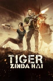 Tiger Zinda Hai (2017) Hindi BluRay 480p, 720p & 1080p | GDRive