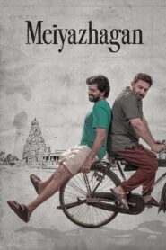 Meiyazhagan (2024) Dual Audio [Hindi ORG & Tamil] WEB-DL 480p, 720p & 1080p | GDRive