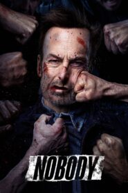 Nobody (2021) Dual Audio [Hindi ORG & ENG] BluRay 200MB – 480p, 720p & 1080p | GDRive