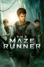 The Maze Runner (2014) Dual Audio [Hindi ORG & ENG] BluRay 480p, 720p & 1080p | GDRive