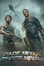 Bade Miyan Chote Miyan (2024) Hindi WEB-DL 480p, 720p & 1080p | GDRive