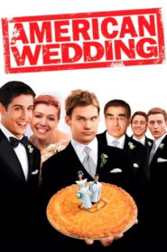 American Wedding (2003) UNRATED Hindi-Eng 480p & 720p GDRive