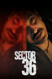 Sector 36 (2024) Hindi WEB-DL 480p, 720p & 1080p | GDRive | ESub