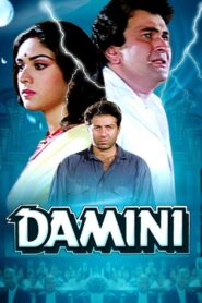 Damini (1993) HDRip x265 Hindi AAC ESubs 480p, 720p & 1080p