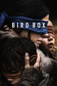 Bird Box (2018) NF WEB-DL 480p, 720p & 1080p | GDRive | BSub