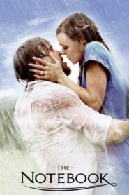 The Notebook (2004) Dual Audio [Hindi ORG & ENG] BluRay 480p, 720p & 1080p | GDrive